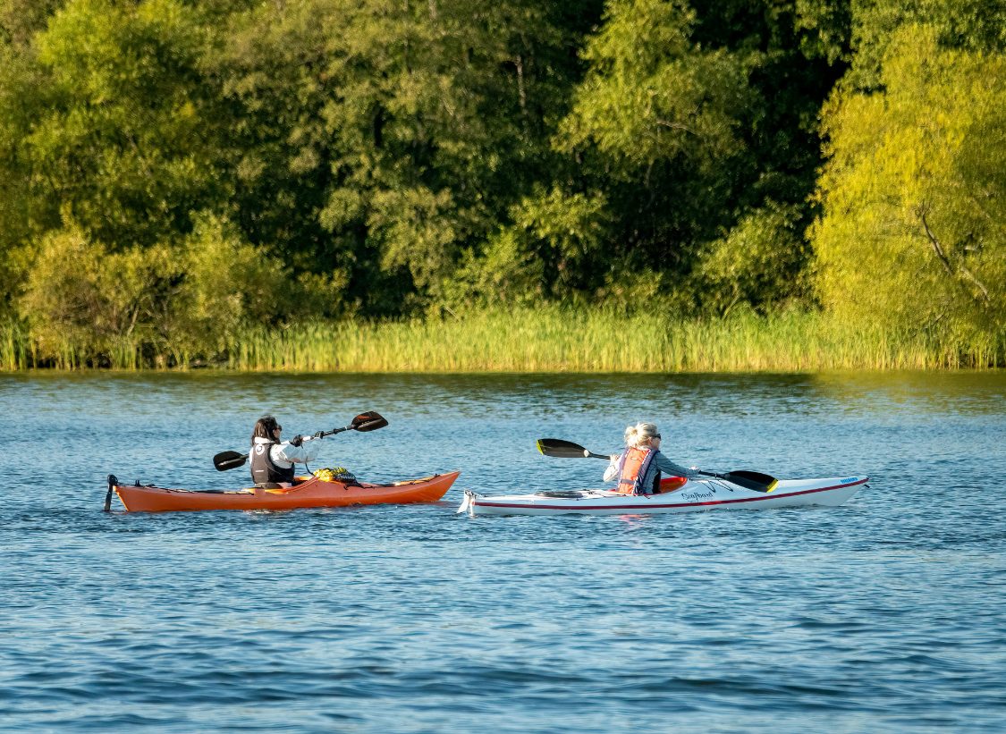 Marilyn Website Photos (1)