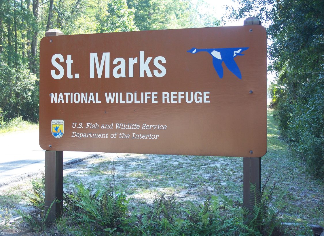 Marilyn Website Photos (4)